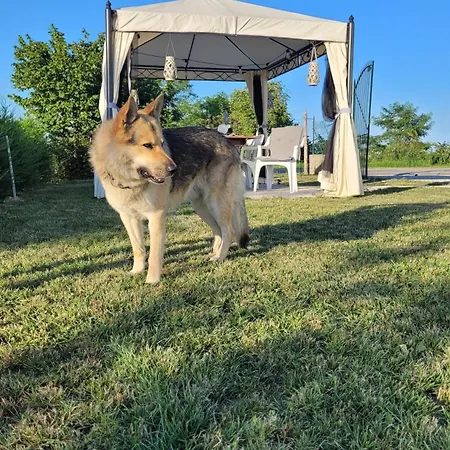 Casa Vacanze Daire Mombarcaro